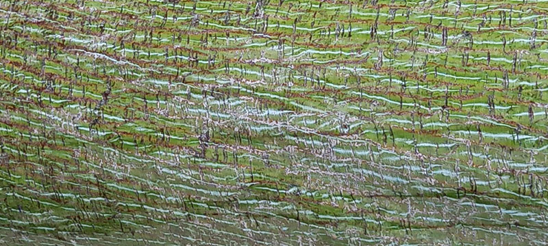 holistic therapy treatments