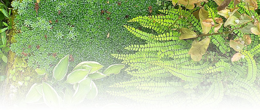 The body code for people